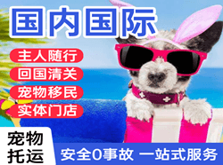 长海航空邮寄国际宠物托运 【国